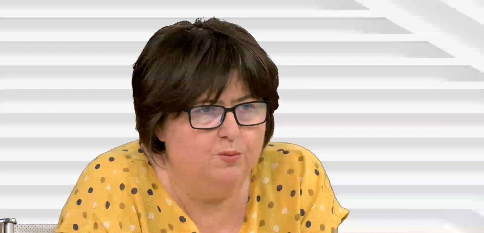 Alina Mungiu Pippidi: „Indiferent cine triumfă în PNL, va face pact cu serviciile secrete”