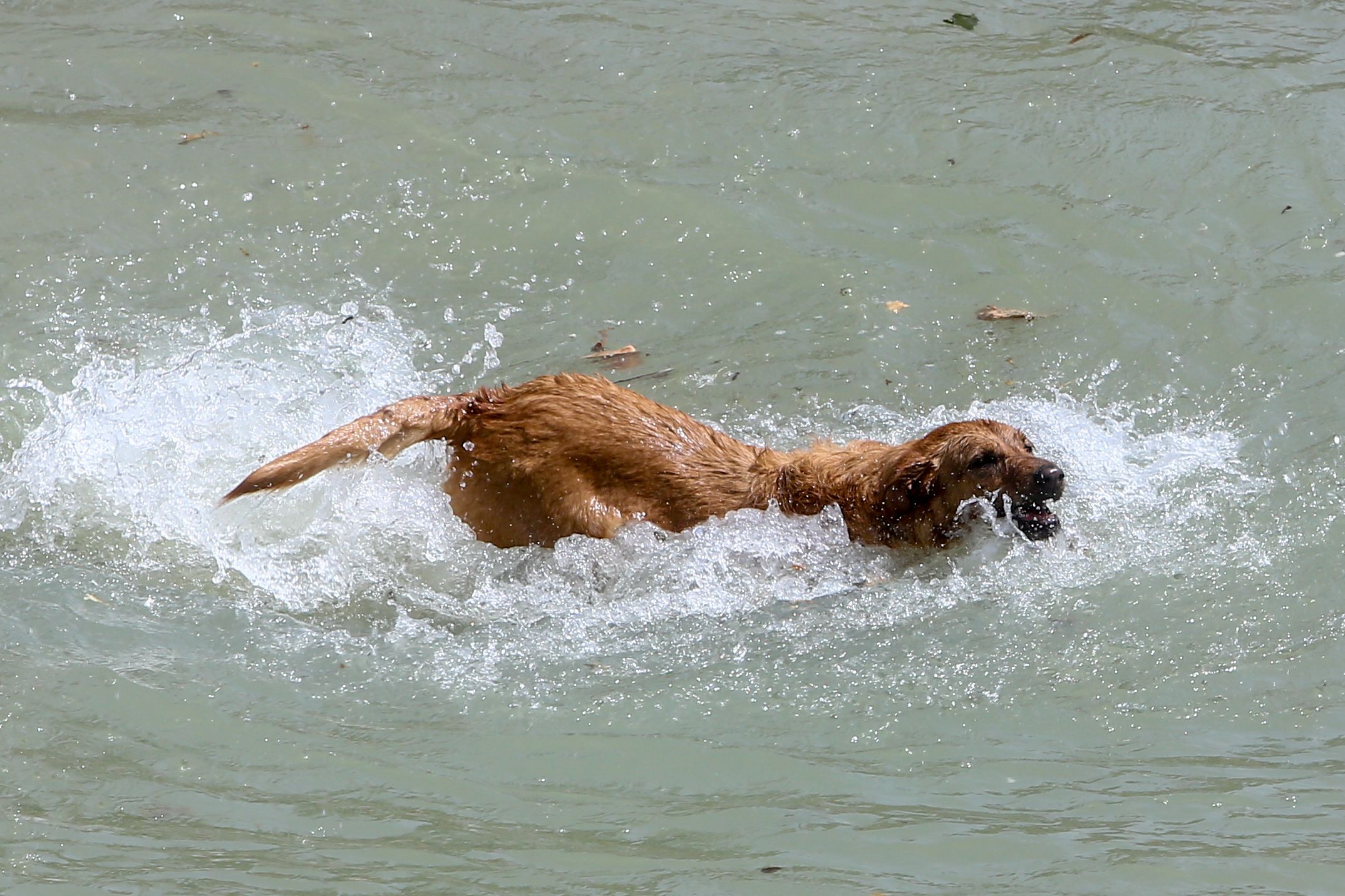 Spania se pregătește de călduri ce ar putea genera incendii asemănătoare cu cele din Grecia. Măsurile luate de autorități