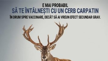 Guvernul schimbă campania de vaccinare: „E mai probabil să te întâlnești cu un cerb carpatin în drum spre vaccinare, decât să ai vreun efect advers grav“