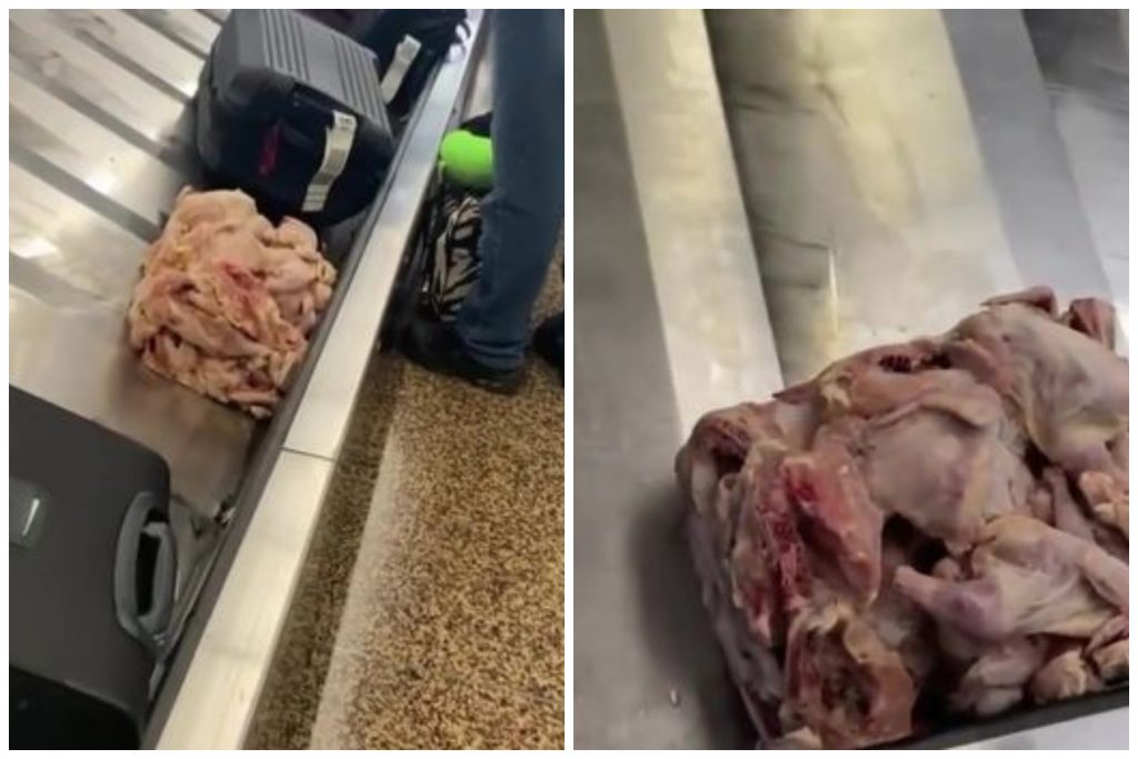 VIDEO. Descoperire bizară într-un aeroport. O grămadă de carne crudă de pui a ajuns printre bagajele călătorilor