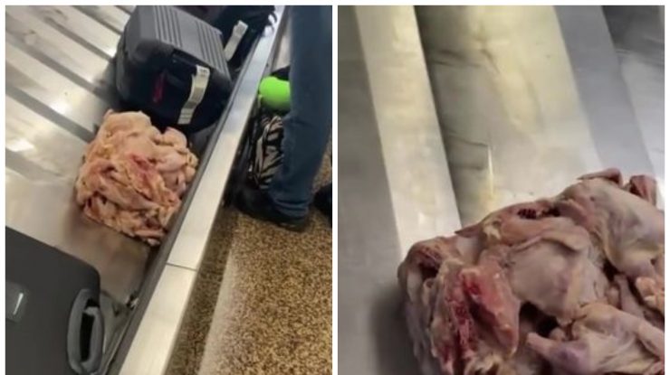 VIDEO. Descoperire bizară într-un aeroport. O grămadă de carne crudă de pui a ajuns printre bagajele călătorilor