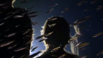 Imagini spectaculoase cu o destinație unică în Europa: pădurea de sub ape