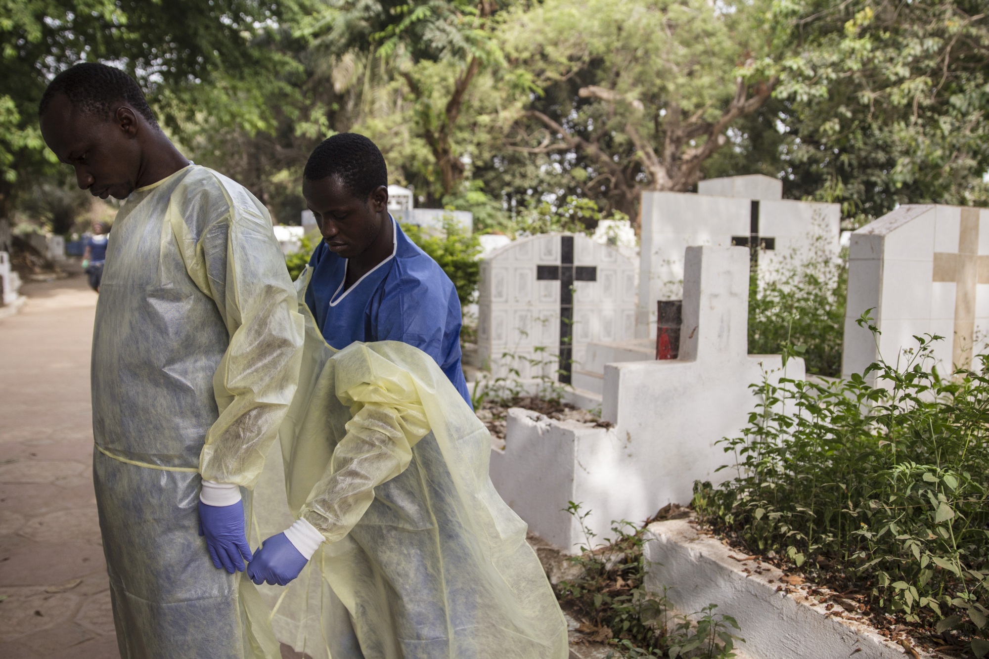 O nouă ameninţare: virusul Marburg, asemănător cu Ebola. Se transmite de la lilieci la oameni