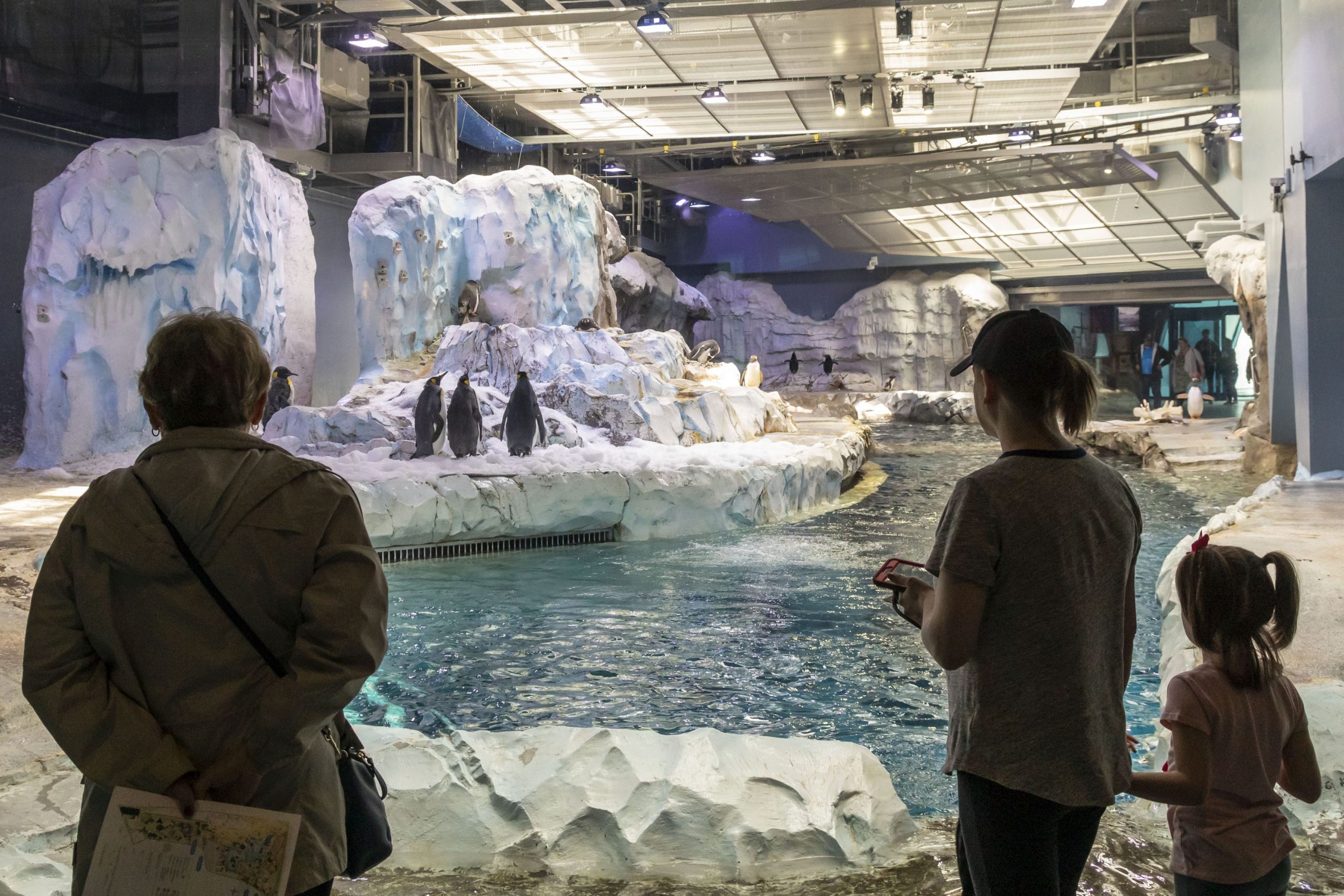 Animale vaccinate contra COVID-19 în SUA. Măsura a fost adoptată după ce mai multe animale au murit din această cauză