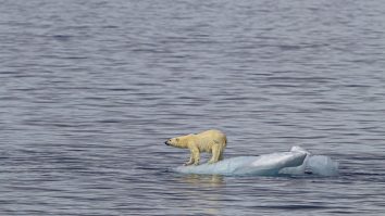 A plouat prima dată în istorie pe vârfurile ghețarilor din Groenlanda. „Un fenomen meteorologic cu care nu a trebuit să ne confruntăm”