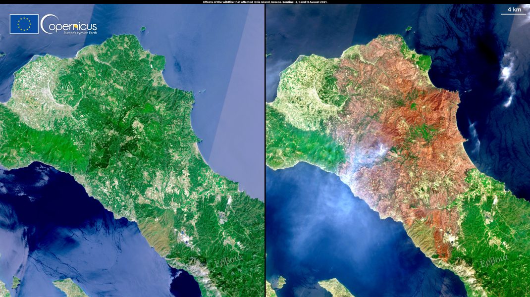 Insula Evia pe 1 și 11 august 2021. Foto: copernicus.eu