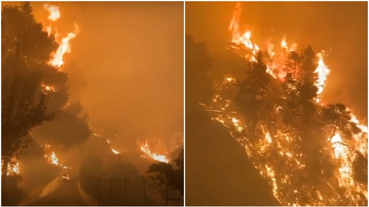 Colaj foto cu imagini din curtea unui grec care încearcă să-și salveze casa din incendiul devastator.