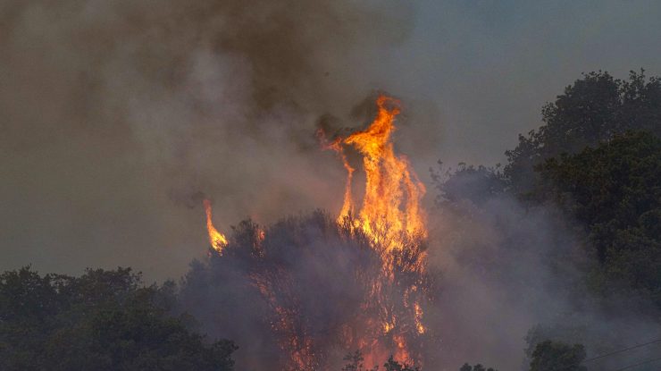 Incendiu de vegetație în Italia.