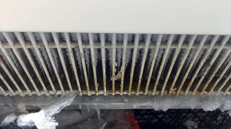 peste congelat in conditii improprii.