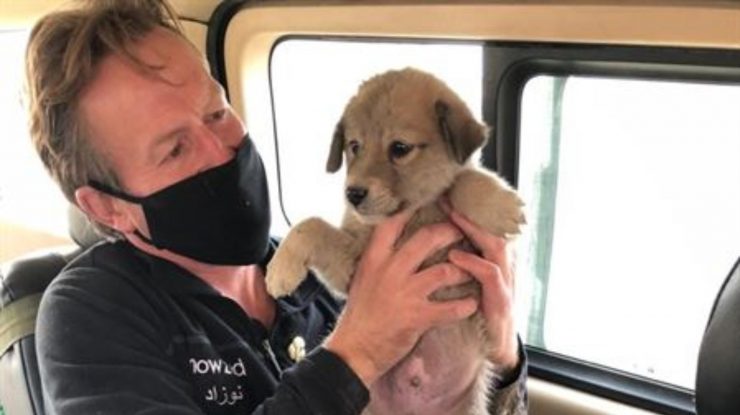 Un fost soldat britanic care ține în mână un cățeluș din adăpostul său de animale.