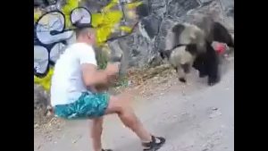 Momentul șocant în care un bărbat este atacat de un urs în timp ce îl pozează pe marginea unui drum. VIDEO