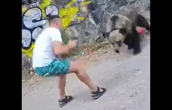 Momentul șocant în care un bărbat este atacat de un urs în timp ce îl pozează pe marginea unui drum. VIDEO