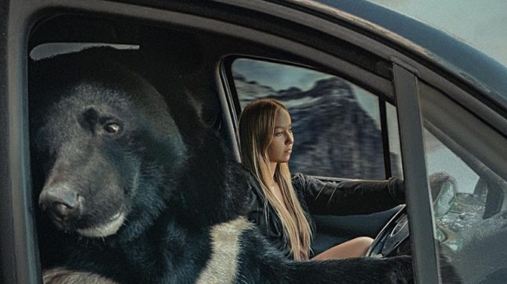 FOTO. O tânără din Rusia călătorește în mașină cu o ursoaică pe locul din dreapta