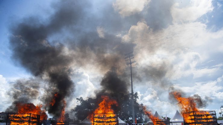 FOTO. 2.500 de coarne de rinocer, arse de autorități în India. Ce mesaj au vrut să transmită