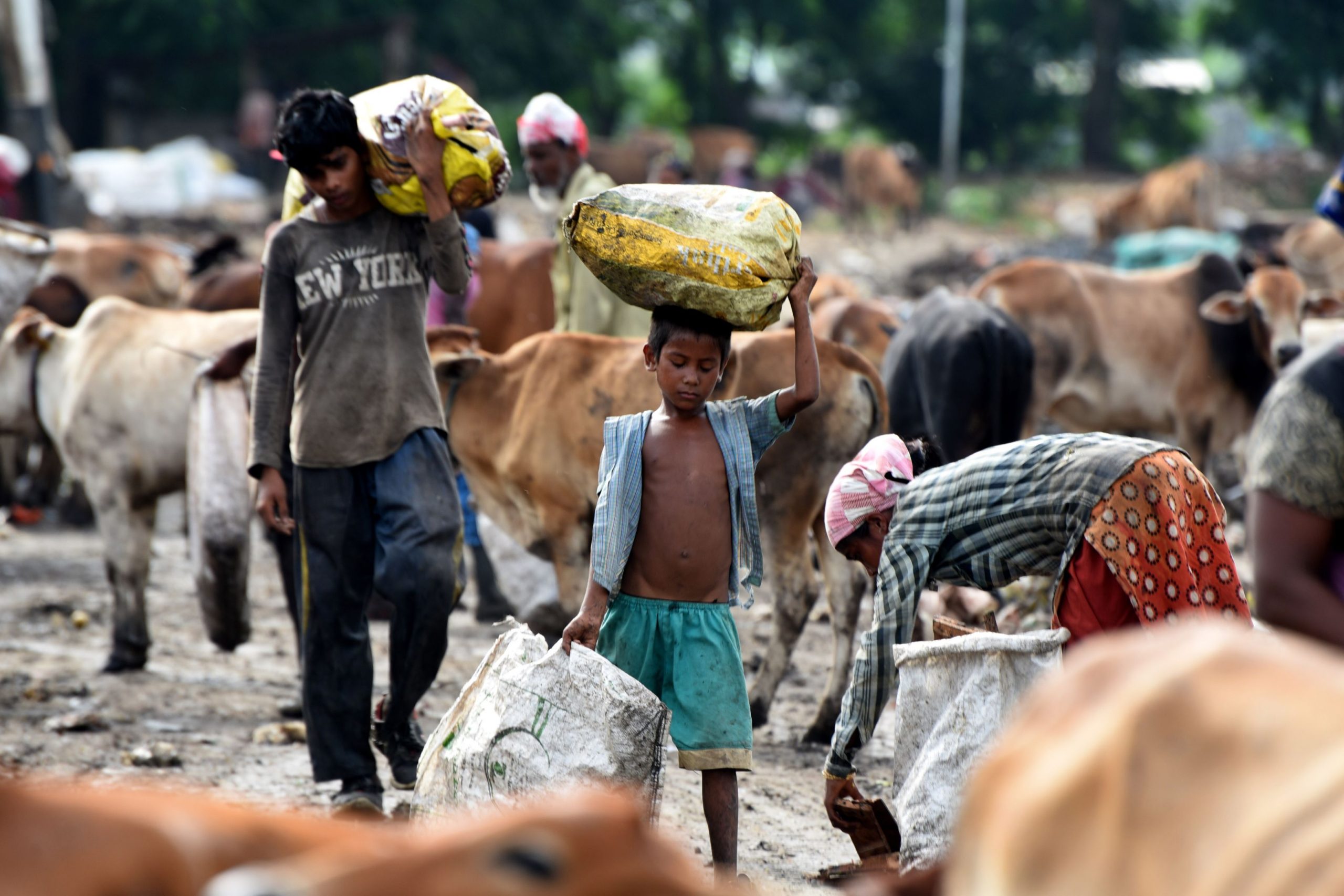 Virus misterios în India. Febra a ucis cel puțin 50 de oameni, majoritatea copii