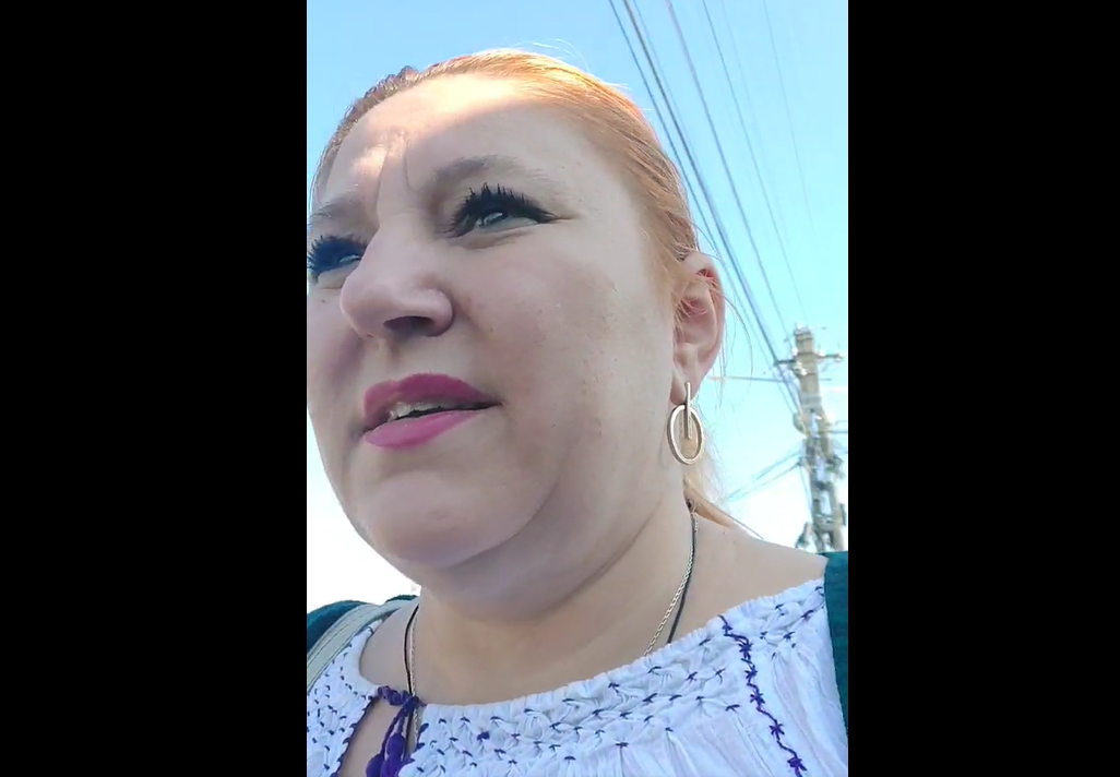 Senatoarea Diana Șoșoacă, cercetată penal după ce a blocat activitatea unui centru de vaccinare