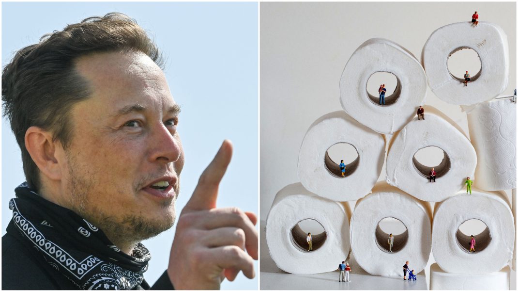 Colaj cu Elon Musk și hârtie igienică.