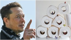Colaj cu Elon Musk și hârtie igienică.