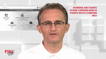 Fini sunt! România are foarte puține companii mari și foarte multe companii mici