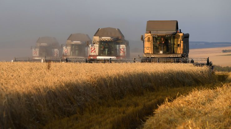 STUDIU: Rusia a devenit noul grânar al Europei. Putin urăște dependența alimentară