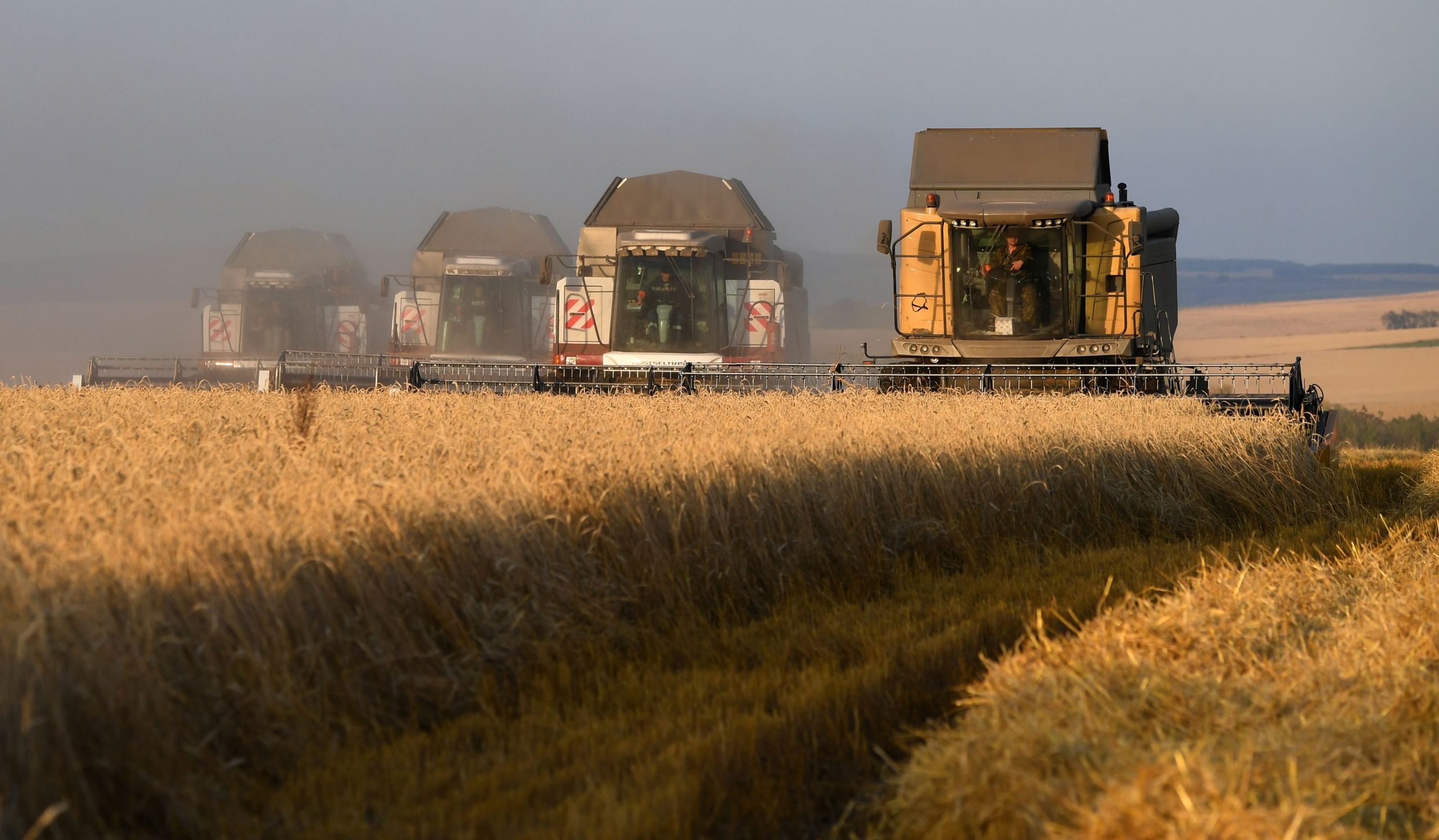 STUDIU: Rusia a devenit noul grânar al Europei. Putin urăște dependența alimentară