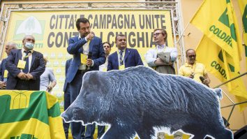 Italia: Invazie de mistreți în Roma, primarul a dat în judecată regiunea Lazio pentru lipsă de inițiative