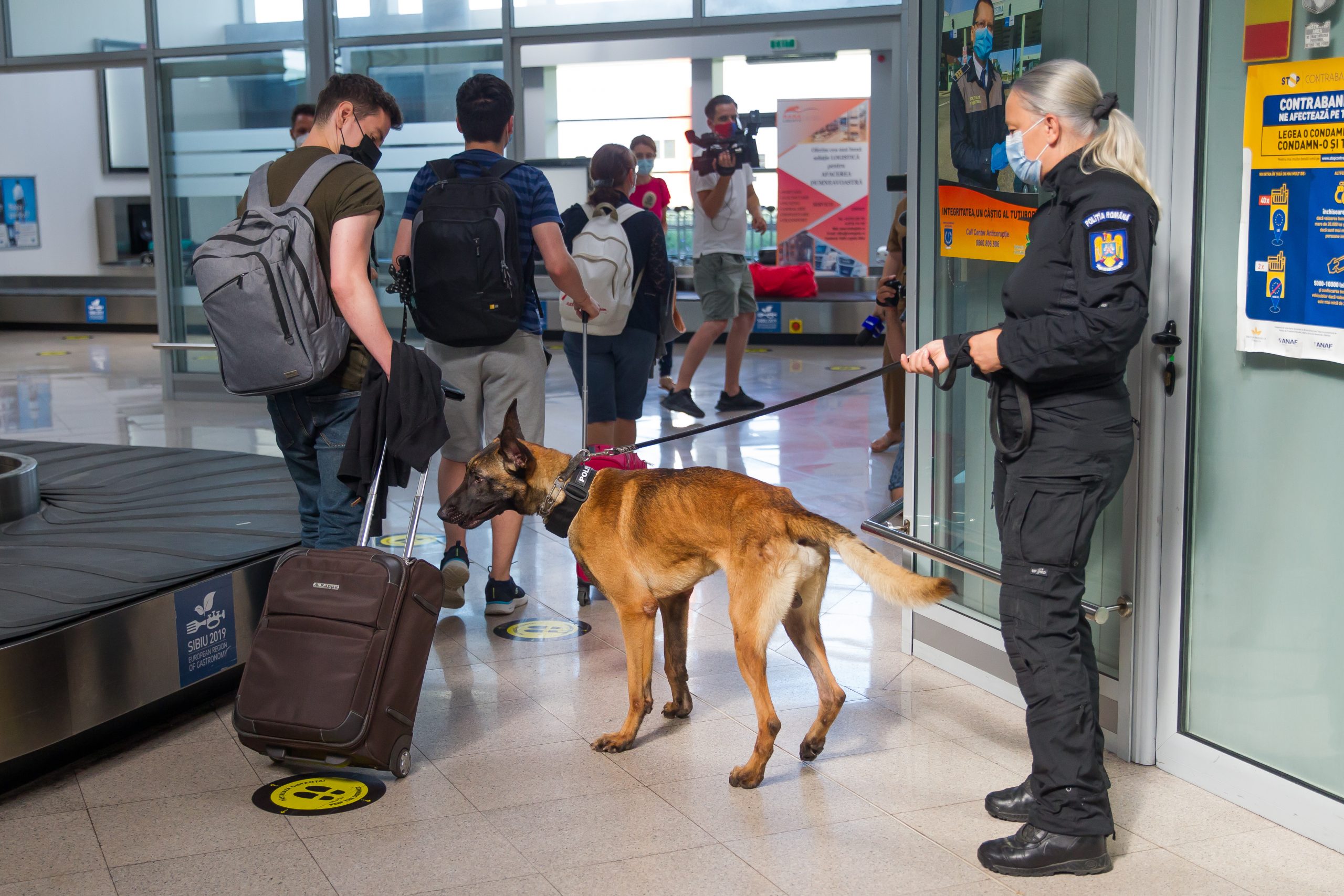CLUJ-NAPOCA: Câinii care adulmecă COVID-19 vor fi trimiși la Aeroportul Internațional