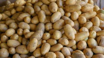 Cartofii au doar beneficii, dacă știi cum să îi consumi. Un studiu demonstrează că aceștia te pot ajuta să slăbești