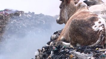 VIDEO: Cum arată locul în care ajung hainele marilor case de modă ale Europei