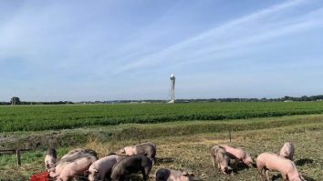 Aceasta reprezintă o măsură luată pentru reducerea numărului de ciocniri.