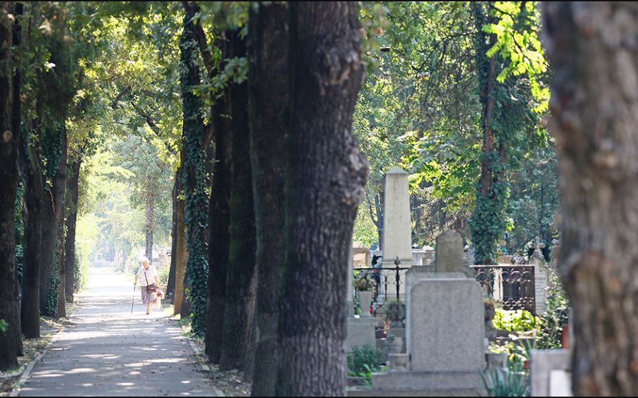 Alee cimitir Oradea