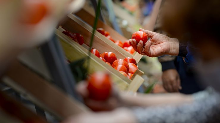 Legumele, mai scumpe decât carnea