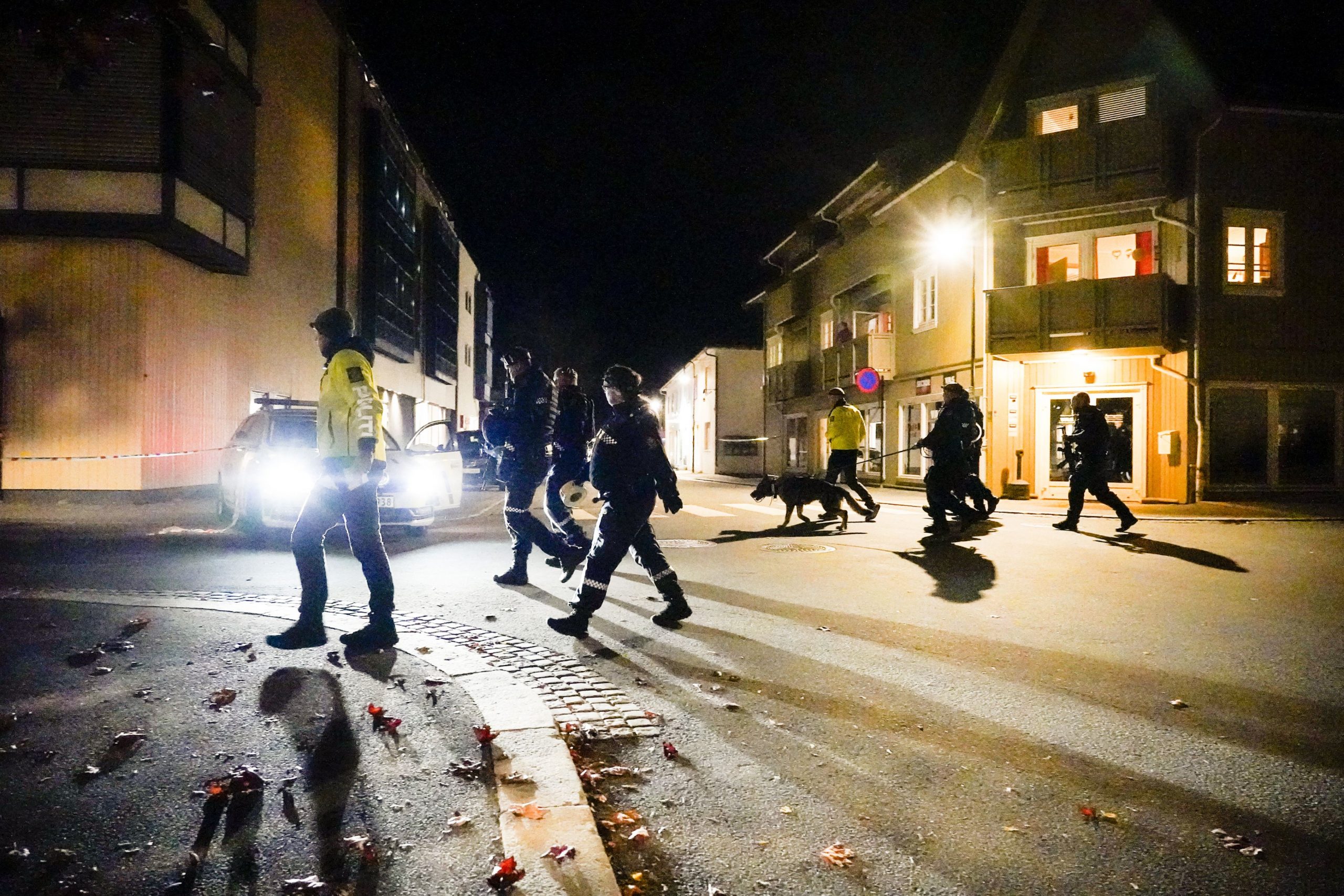 Atac cu arcul în Norvegia. Mai multe persoane au fost ucise