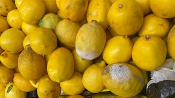 lamai stricate la cora