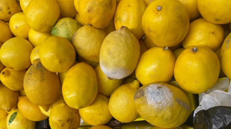 lamai stricate la cora