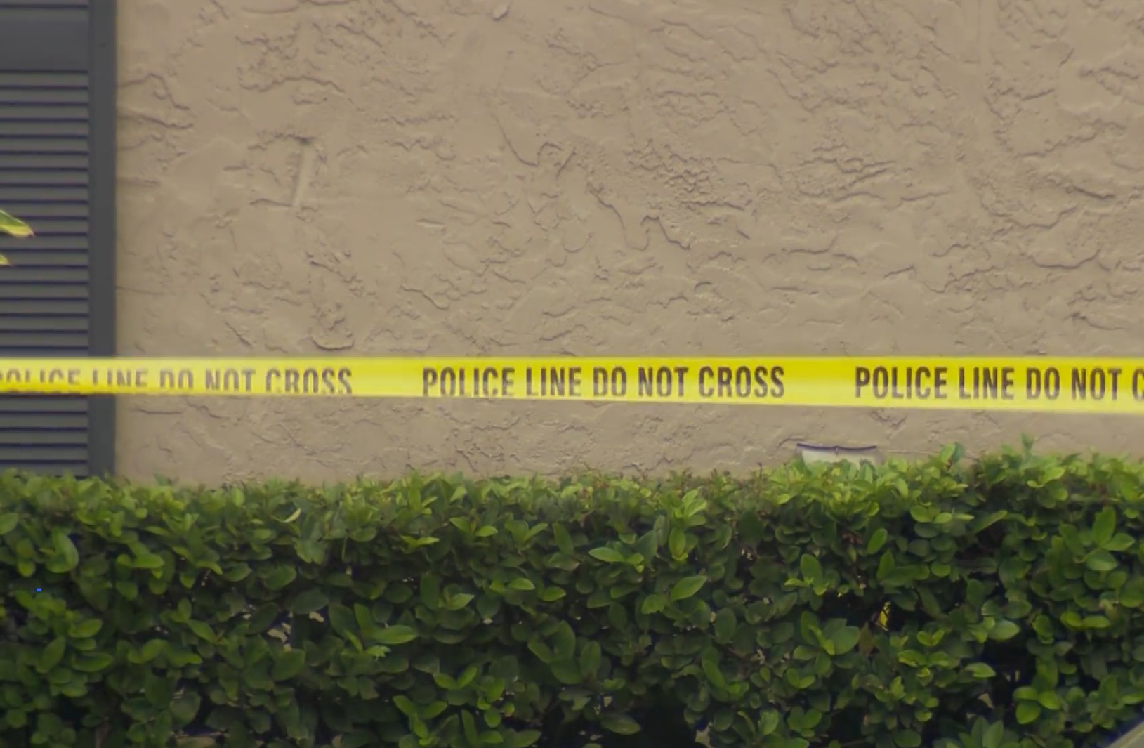 Un băieţel de doi ani şi-a împuşcat mama în timp ce femeia era pe Zoom