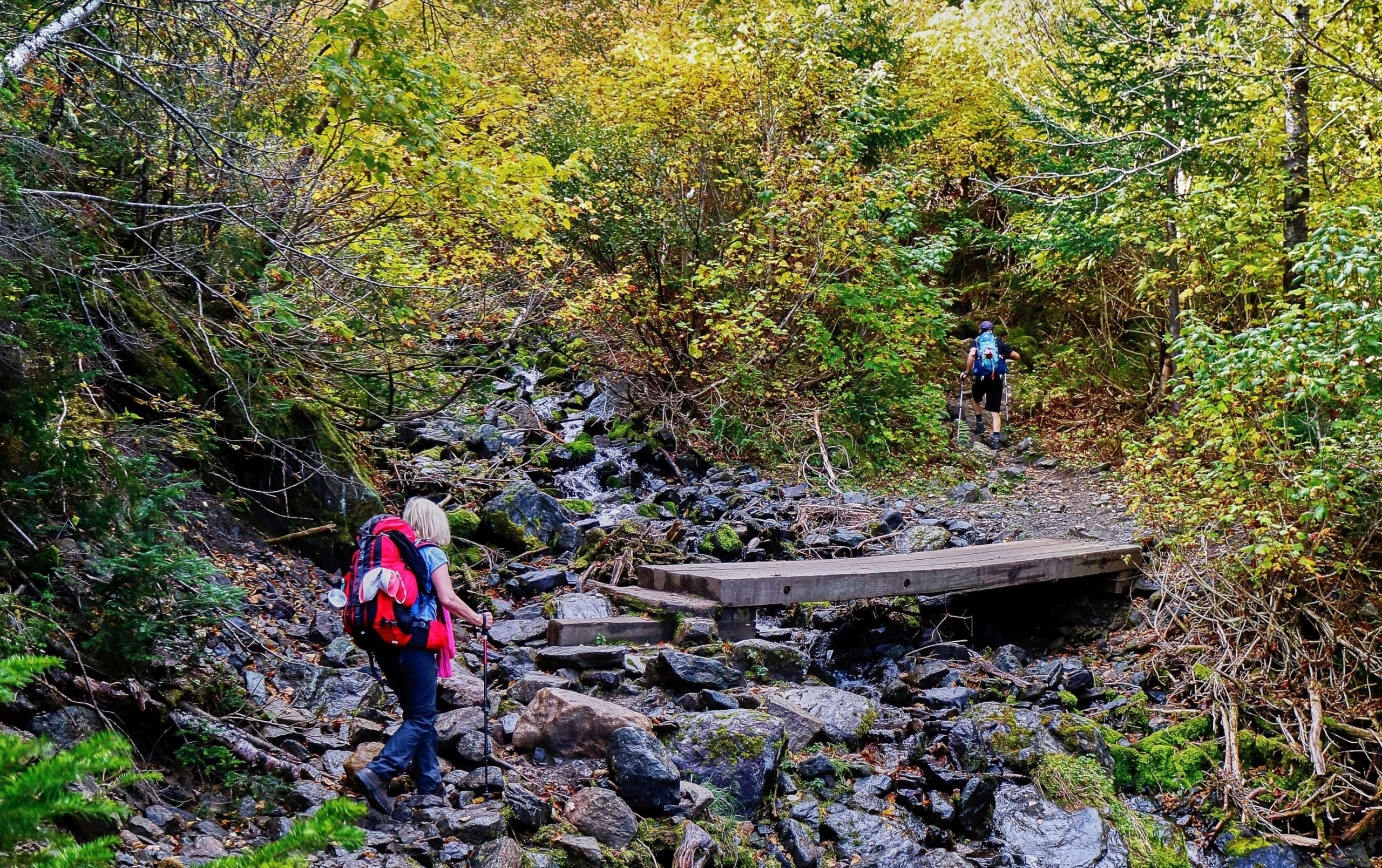 Noua Zeelandă are nevoie de vizitatori bogați, nu de „turiști care mănâncă tăiței la plic”, spune ministrul turismului
