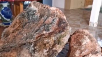 Captura vieții. Un pescar s-a îmbogățit după ce a găsit 30 de kilograme de vomă de balenă. Cât costă un kilogram