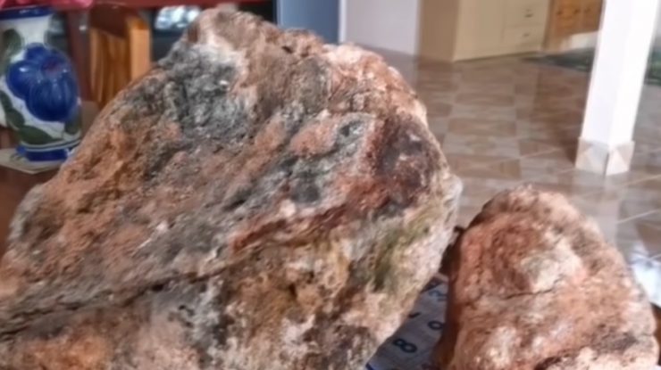 Captura vieții. Un pescar s-a îmbogățit după ce a găsit 30 de kilograme de vomă de balenă. Cât costă un kilogram