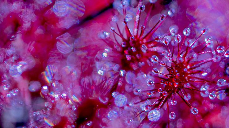 Specialist, despre evoluţia Omicron: A fi foarte optimist acum este destul de iresponsabil