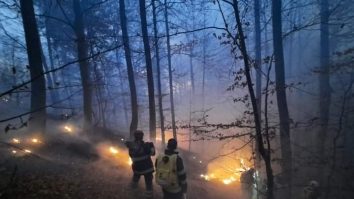 Pădurea de la Oituz arde de o săptamână. 30 de pompieri încearcă să stingă incendiul
