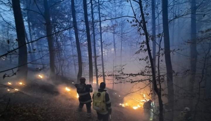 Pădurea de la Oituz arde de o săptamână. 30 de pompieri încearcă să stingă incendiul