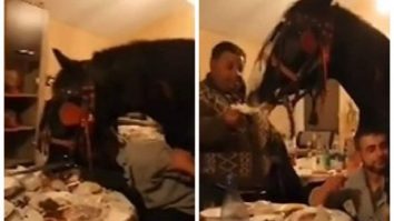 cal filmat in casa la o ptrecere din calarasi