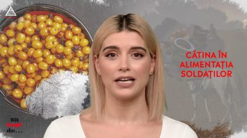 Un vârf de… Cătina