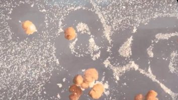 Primii roboți vii care se reproduc într-un mod nevăzut la plante sau animale