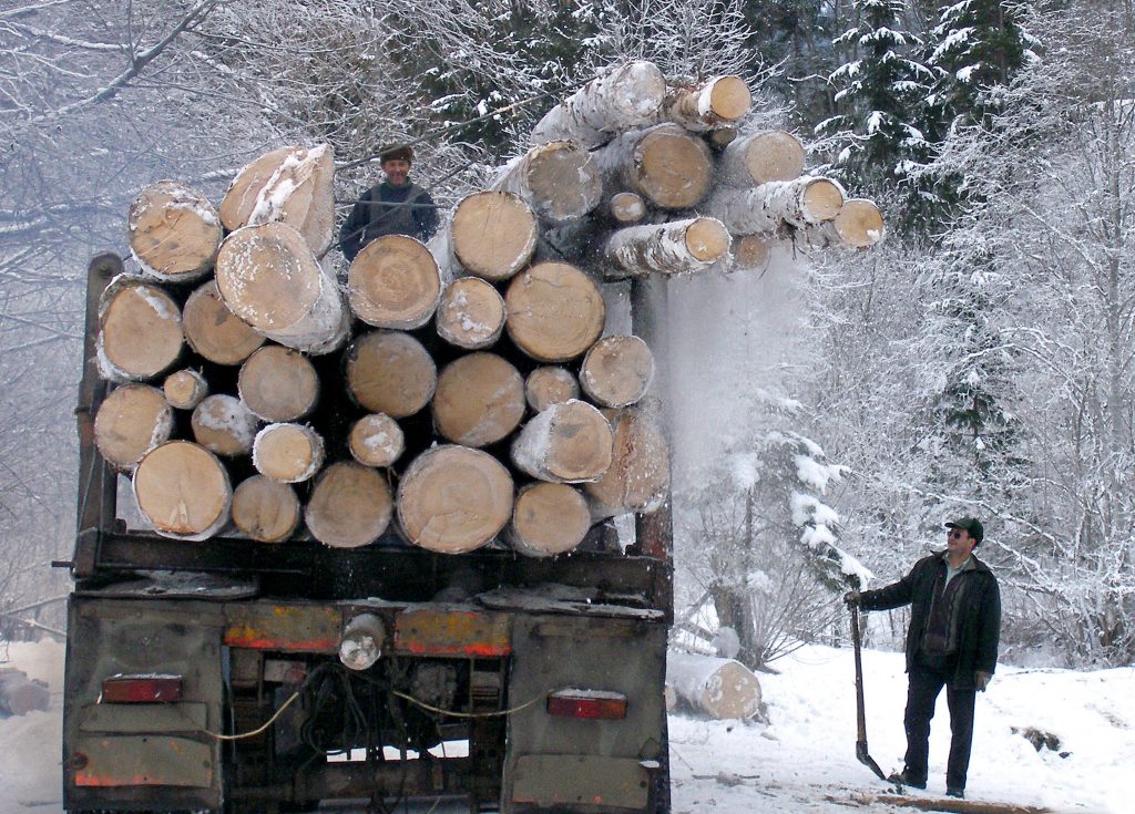 Specialiştii avertizează că în plină criză a energiei apare o criză artificială a lemnului.
