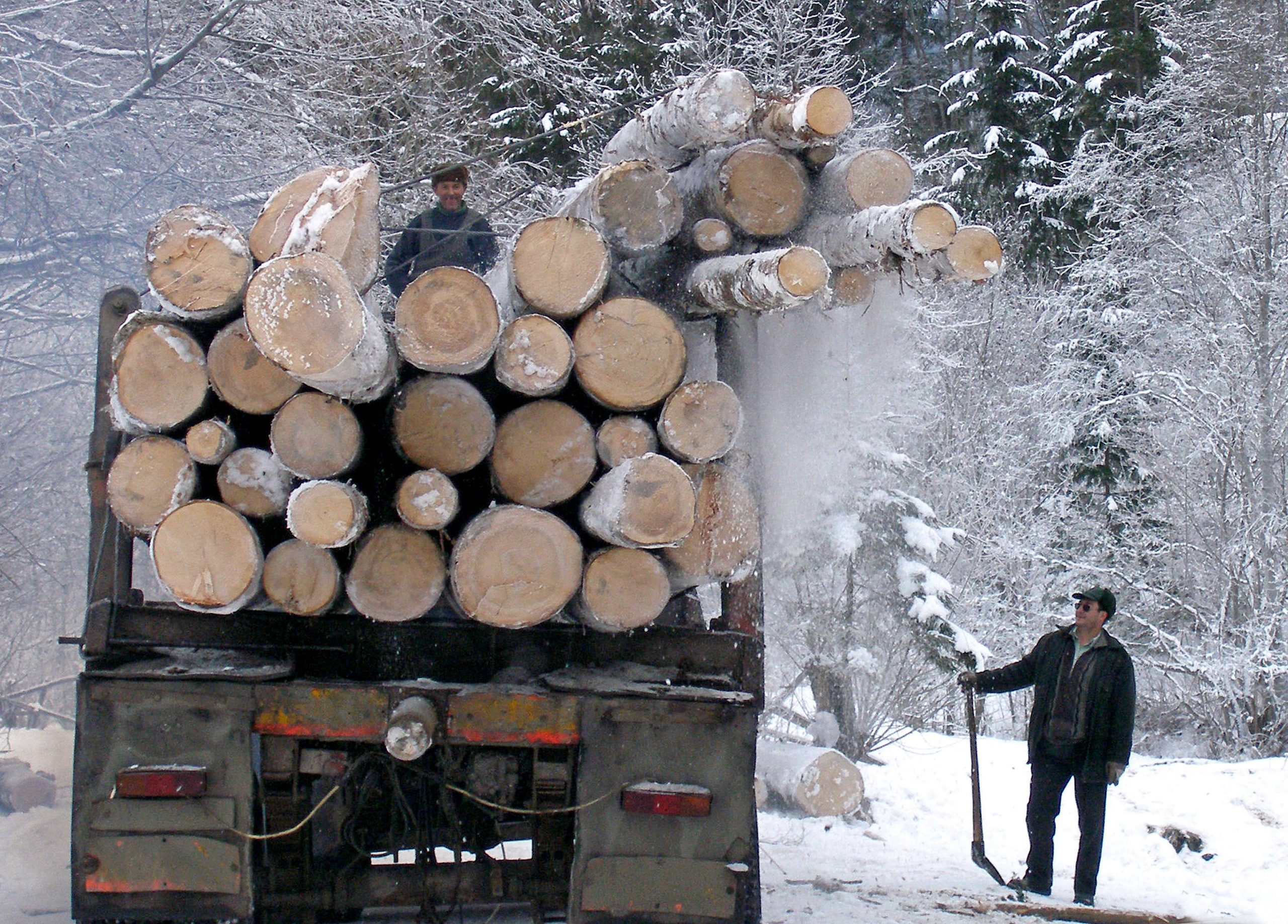 După criza energiei, specialiștii avertizează că urmează o criză a lemnului