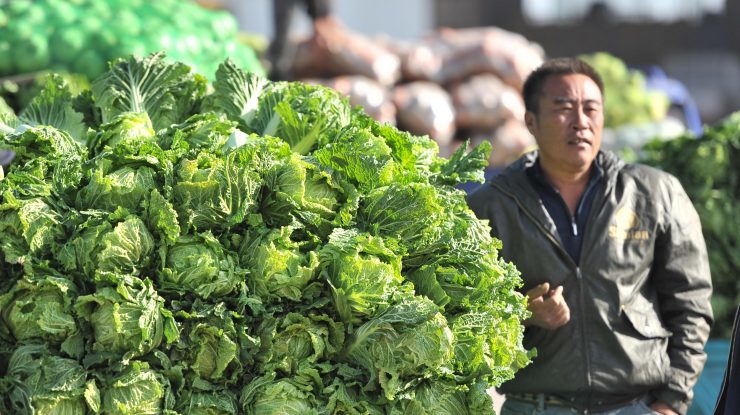 un chinez langa un raft de varza