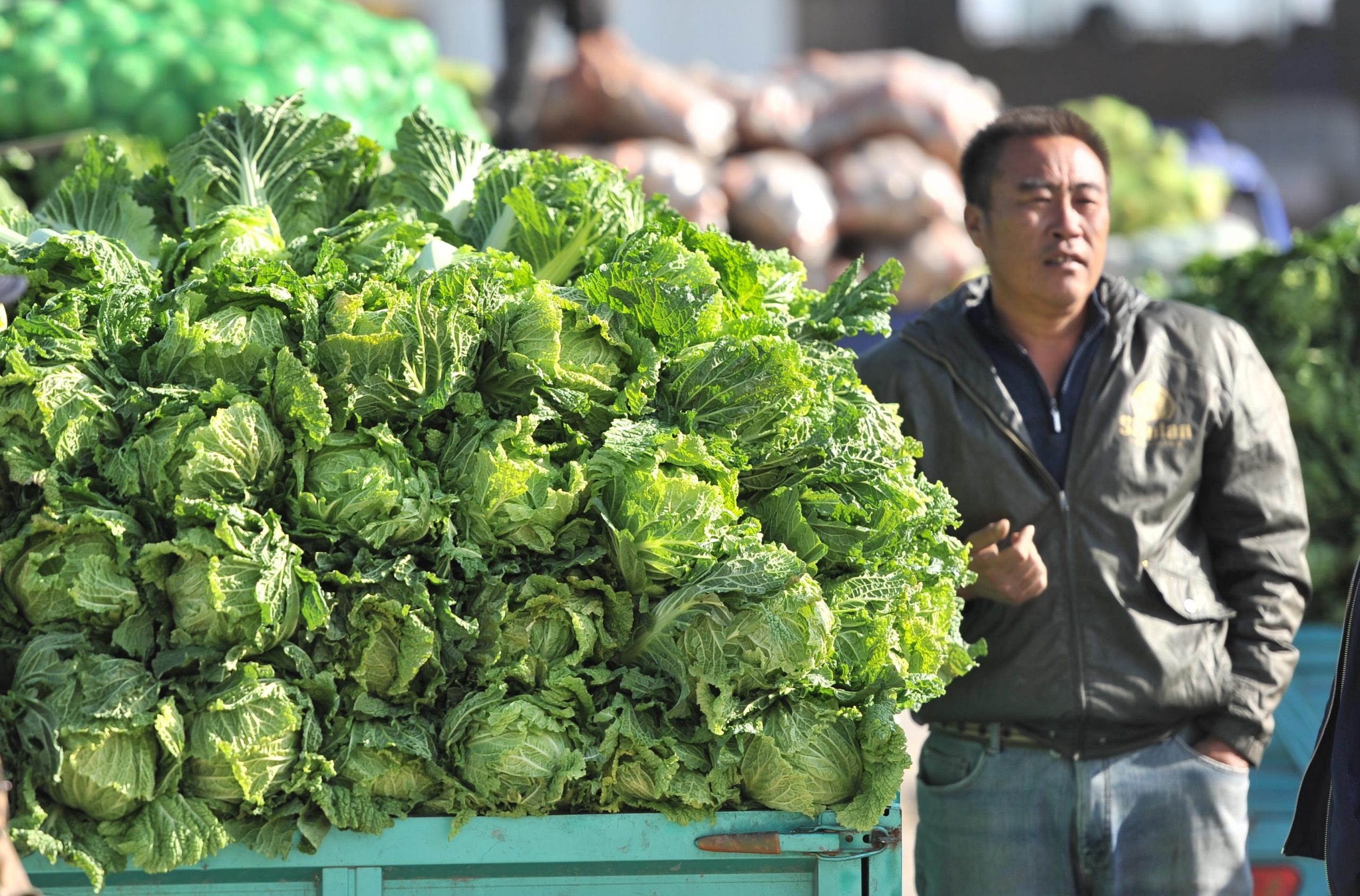 Rații de alimente: Chinezii pot cumpăra doar trei verze de persoană