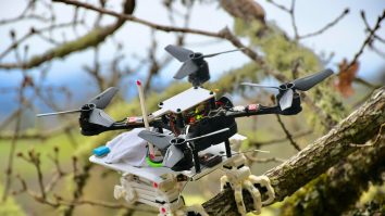 VIDEO. Oamenii de știință au creat prima dronă pasăre. Ce știe să facă